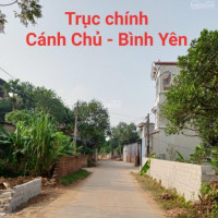 Gấp!  Bán 253m Gần Tái định Cư Bình Yên Chỉ 75 Triệu/m