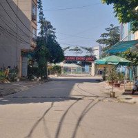 Tôi Cần Bán Lô đất Dv đa Sỹ, Phân Lô Vỉa Hè ô Tô Tránh, An Sinh đỉnh 50m2 Mt 4 4,15 Tỷ