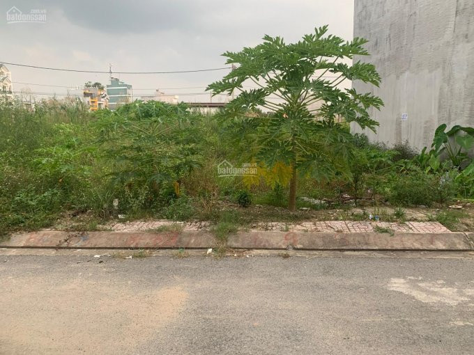 Chính Chủ Bán đất Nền Nhà Việt Kế Bên Villa Park Quận 9 1