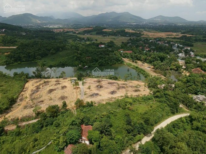 Chính Chủ Bán Nhanh Gấp 2,3 Ha, 1000m2 Thổ Cư Bám Hồ đập đom, Cư Yên, Lương Sơn, Hoà Bình -  Gần Vịt Cổ Xanh 4