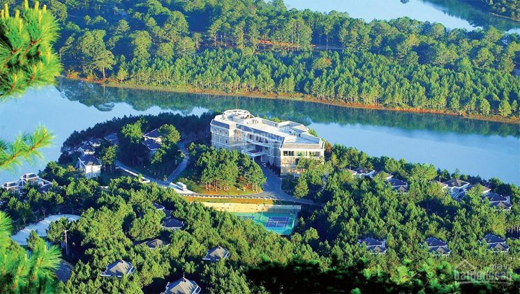 Chính Chủ Bán Nhanh Lại Khu Resort 5* đẹp Nhất Hồ Tuyền Lâm, Bao Phủ Bởi Hoa Và Thiên Nhiên Siêu đẹp P3, đà Lạt 3