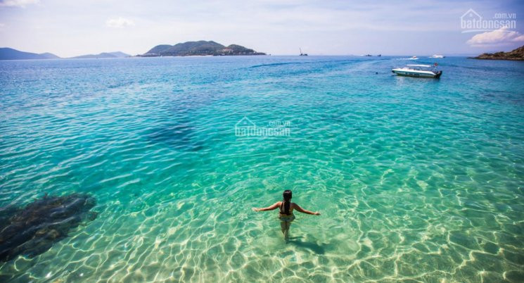 Chính Chủ Bán Nhanh Lô đất đường T8 Kđt An Bình Tân, Nha Trang, Vị Trí Gần Công Viên Và đại Lộ Nguyễn Tất Thành 2