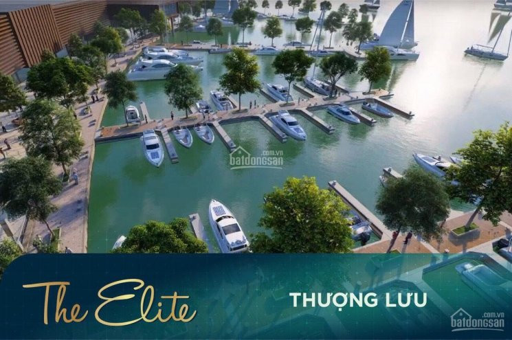 Chính Chủ Cần Bán Gấp Nhà Phố 8x20 Aqua City Novaland đường Chinh Giá 6,3 Tỷ Lh 0965645556 2