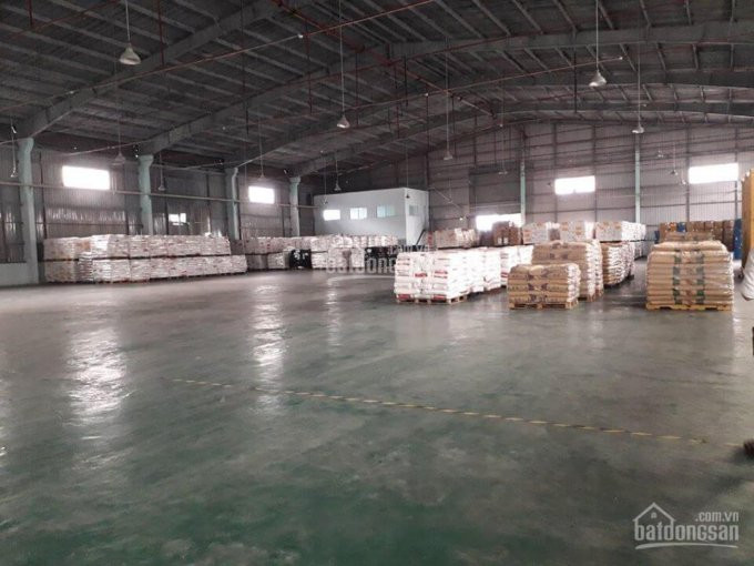 Chính Chủ Cho Thuê Nhanh Kho Diện Tích 260m2 đường Xe Tải 25t Sau Vũ Tông Phan, An Phú, Quận 2 6