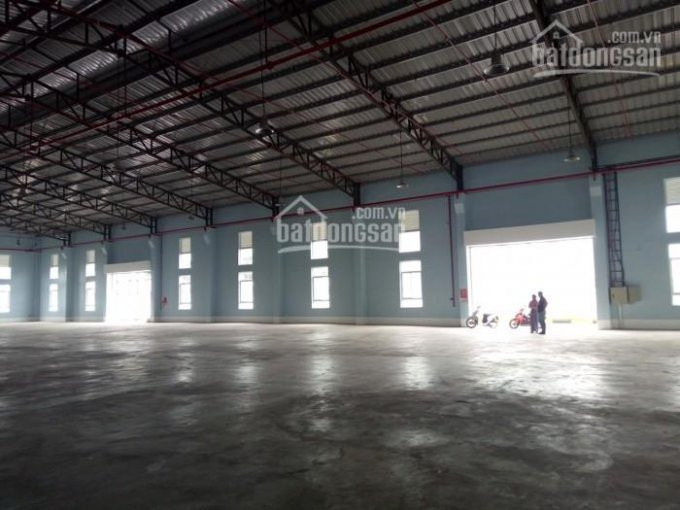 Chính Chủ Cho Thuê Nhanh Kho Từ 100m2, 150m2, 200m2, 350m2 đến 3500m2) Dịch Vụ Trọn Gói Tại Tp Hồ Chí Minh 3