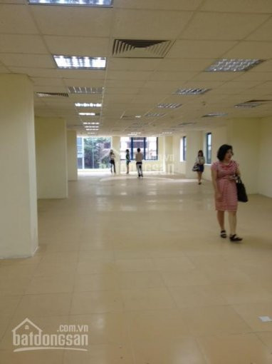 Chính Chủ Cho Thuê Nhanh Văn Phòng Cát Linh Quận đống đa 40m2, 80m2, 180m2 250m2, 300m2 700m2, Giá 170000đ/m2 3