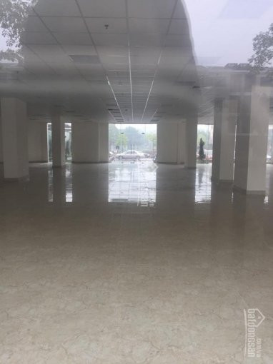 Chính Chủ Cho Thuê Nhanh Văn Phòng Quận Hoàng Mai, Phố Hồ đền Lừ, 60m2 - 500m2 - 1000m2, Giá 110 Nghìn/m2/tháng 3