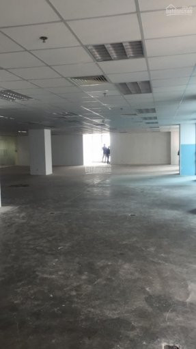 Chính Chủ Cho Thuê Nhanh Vp N03t1 Nguyễn Văn Huyên, Cầu Giấy 100m2, 200m2, 350m2, 600m2, 1500m2, 140 Nghìn/m2/th 1