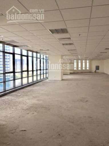 Chính Chủ Cho Thuê Nhanh Vp Tòa Nhà Bảo Anh Building, Trần Thái Tông, Cầu Giấy 150m2, 220m2, 300m2 Giá 180ng/m2/th 1