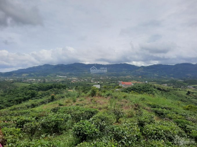 đất Chính Chủ 7200m2 View đỉnh Núi, Cách Trung Tâm Tp Bảo Lộc 12km, Sát Khu Dân Cư 2