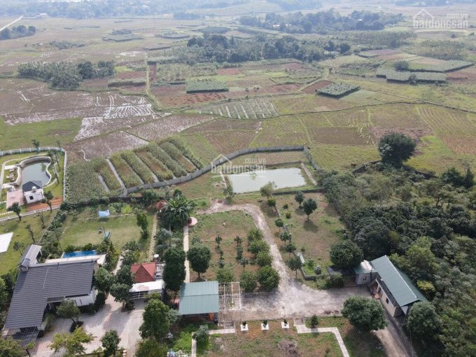 Khuôn Viên View Cánh đồng Cực đỉnh 4900m ở Lương Sơn Giá đầu Tư Lh 0917366060 3