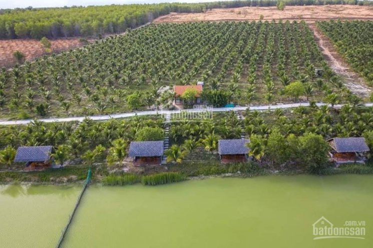 Mô Hình Farm Dành Cho Cuộc Sống Xanh Của Bạn, Tổng Giá 50 Ngàn/m2 0938531704 Liên 2