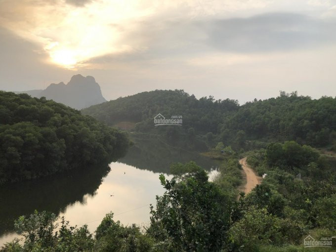 Qúa đẹp Qúa Hoà Hảo ,đẹp Mê Ly 5000m Có 400 Thổ Cư ,hãy Nhanh Tai Sở Hữu Lấy đảo Ngọc 3