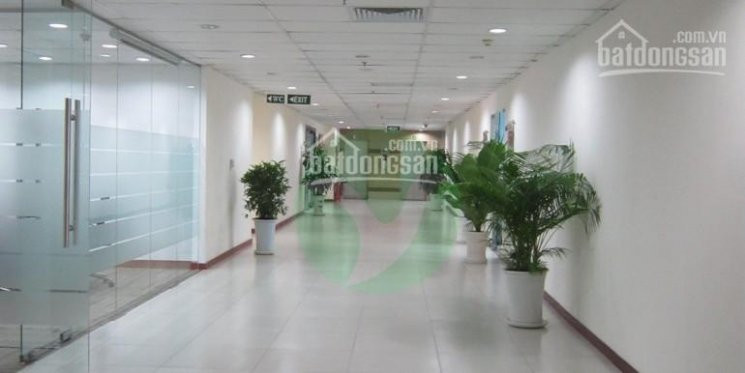 Văn Phòng Cho Thuê Quận Tân Bình, 30m2, 7 Triệu 1