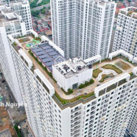 Chính Chủ Bán Nhanh Gấp Căn 2pn, Tòa N04, N05 Chung Cư Ecohome 3, Dt: 58 ,62, 68m2giá Từ 1130tỷ(0989*949*o36)