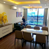 Chính Chủ Cho Thuê Căn Hộ Dolphin Plaza 147m2, 3pn Full đồ 13tr/th Liên Hệ: 0974104181