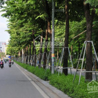 Gia đình Cắt Thửa Bán đất Diện Tích 30 40 50 60m2 Khu Vực Xuân La, Xuân đỉnh, Phú Thượng