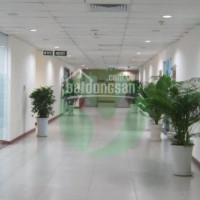 Văn Phòng Cho Thuê Quận Tân Bình, 30m2, 7 Triệu