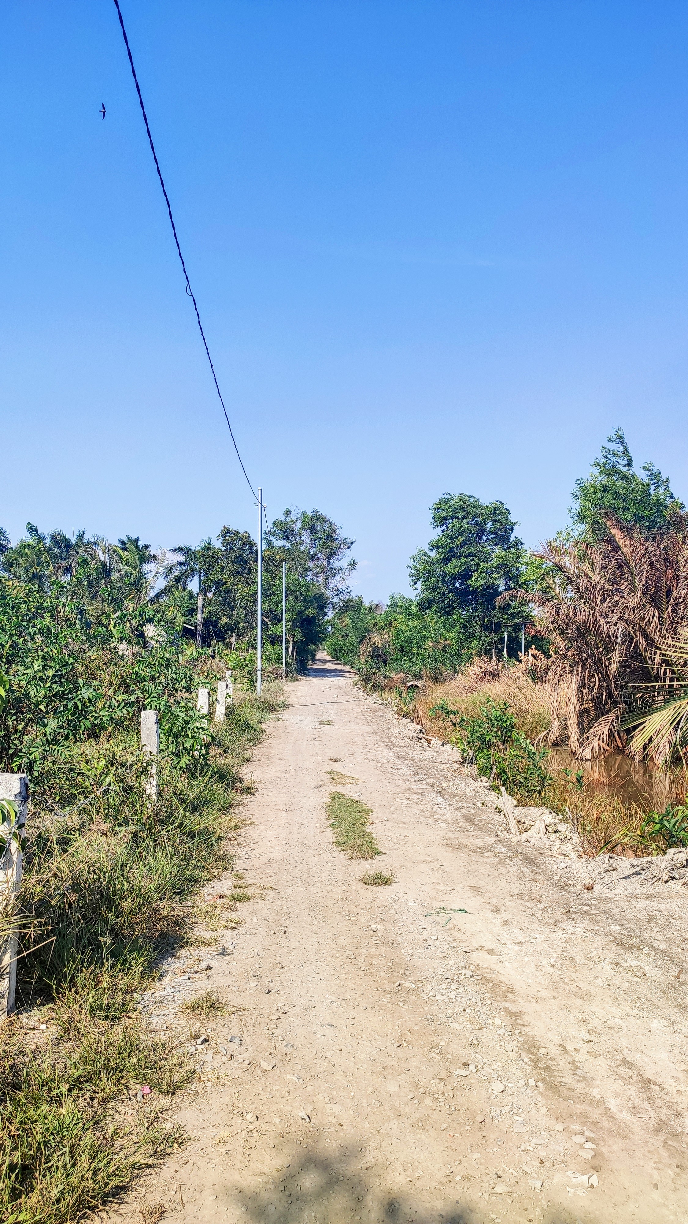 Chính chủ cần bán lô đất đẹp đường ô tô của xã tại xã Phước Khánh Nhơn Trạch
