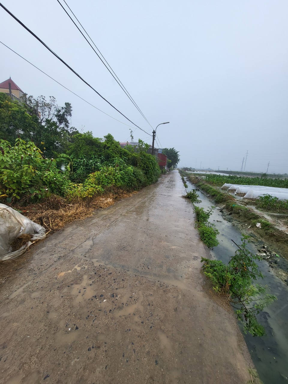 Thiện chí bán, đất chính chủ vuông vắn, nở hậu nhẹ, 116m2, 5m mặt tiền, ô tô đỗ cửa, chỉ 17.5tr/m2 – 088899985 A. Thắng 3