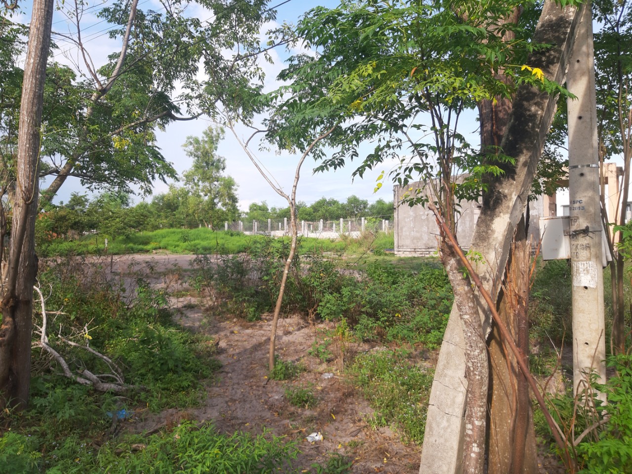 Cần bán Đất đường Lê Minh Công, Xã Tân Phước, Diện tích 1774m², Giá Thương lượng - LH: 0988609571 5