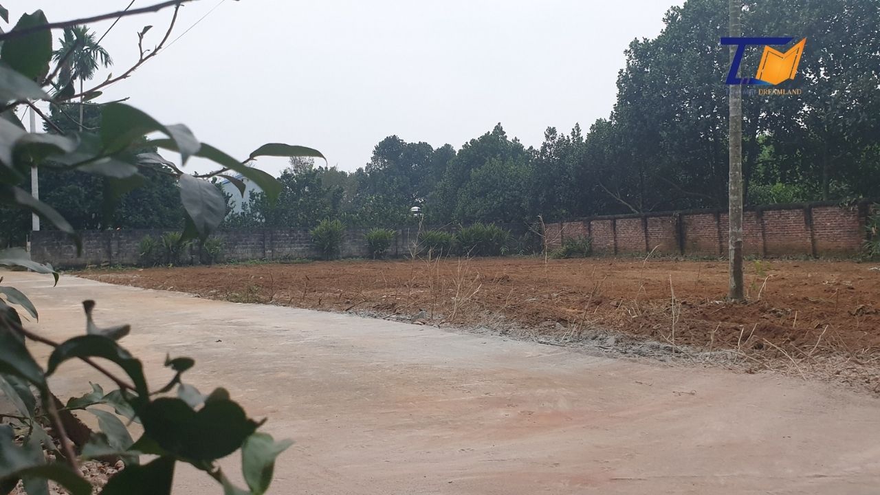 Cần bán Đất Phường Kim Sơn, Sơn Tây, Diện tích 685m², Giá Thương lượng - LH: 0586229999