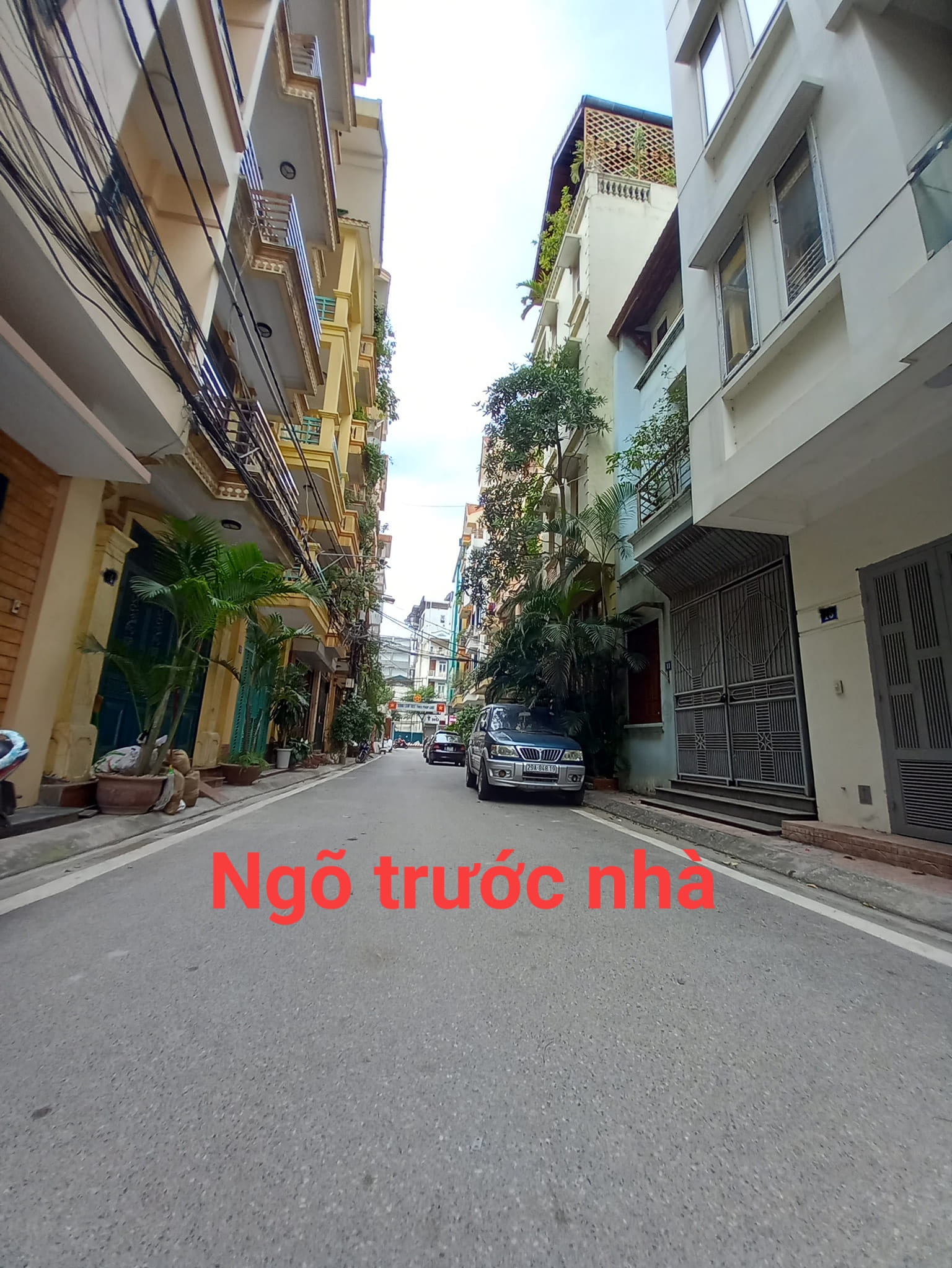 Cần bán Nhà ở, nhà cấp 4, nhà hẻm đường Lạc Long Quân, Phường Bưởi, Diện tích 50m², Giá 14500 Triệu - LH: 0913381468 2