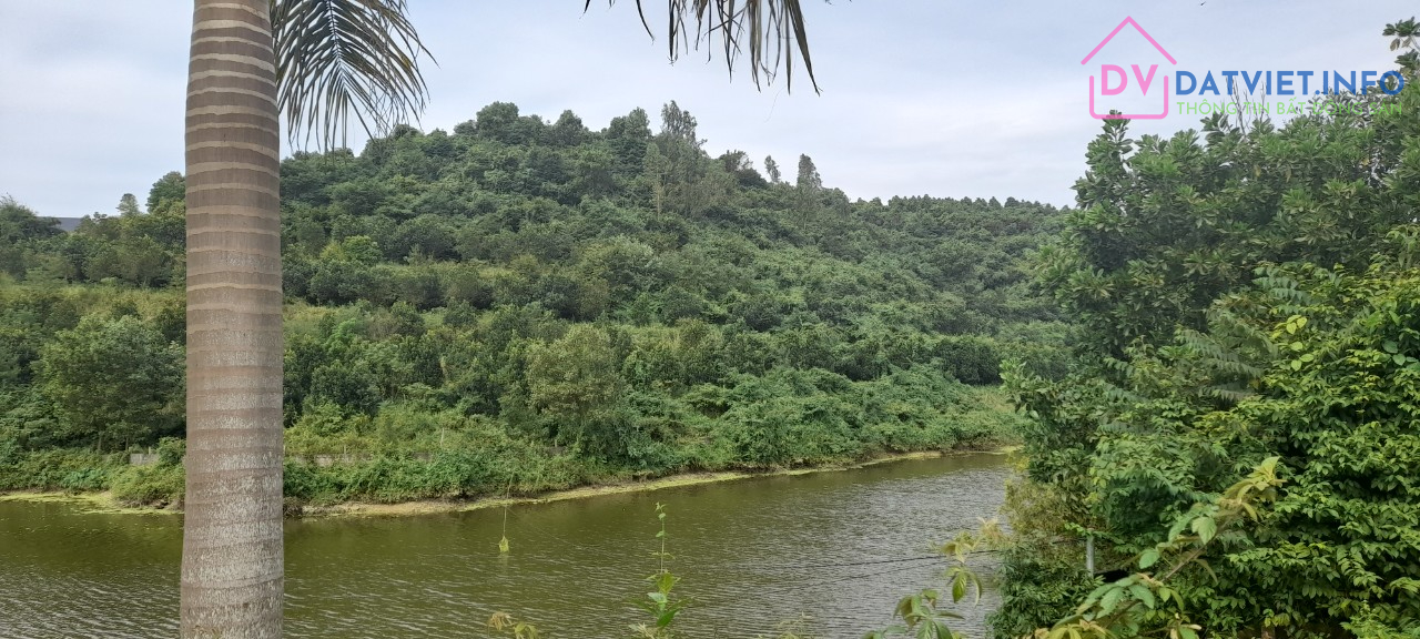 View Hồ, Đường Oto Tránh,Bám Mặt Đường Dài, Hà Nội 40Km, Giá Đầu Tư Phân Lô, Nghỉ Dưỡng 4