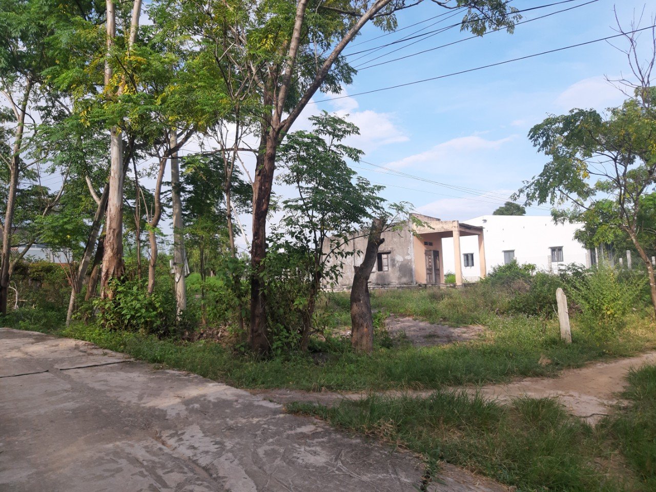 Cần bán Đất đường Lê Minh Công, Xã Tân Phước, Diện tích 1774m², Giá Thương lượng - LH: 0988609571 7