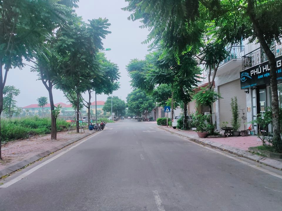 Cần bán Đất dự án Khu đô thị Việt Hưng, Diện tích 71.5m², Giá 12.5 Tỷ - LH: 0336866307 2