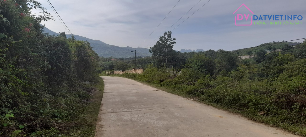 View Hồ, Đường Oto Tránh,Bám Mặt Đường Dài, Hà Nội 40Km, Giá Đầu Tư Phân Lô, Nghỉ Dưỡng 3