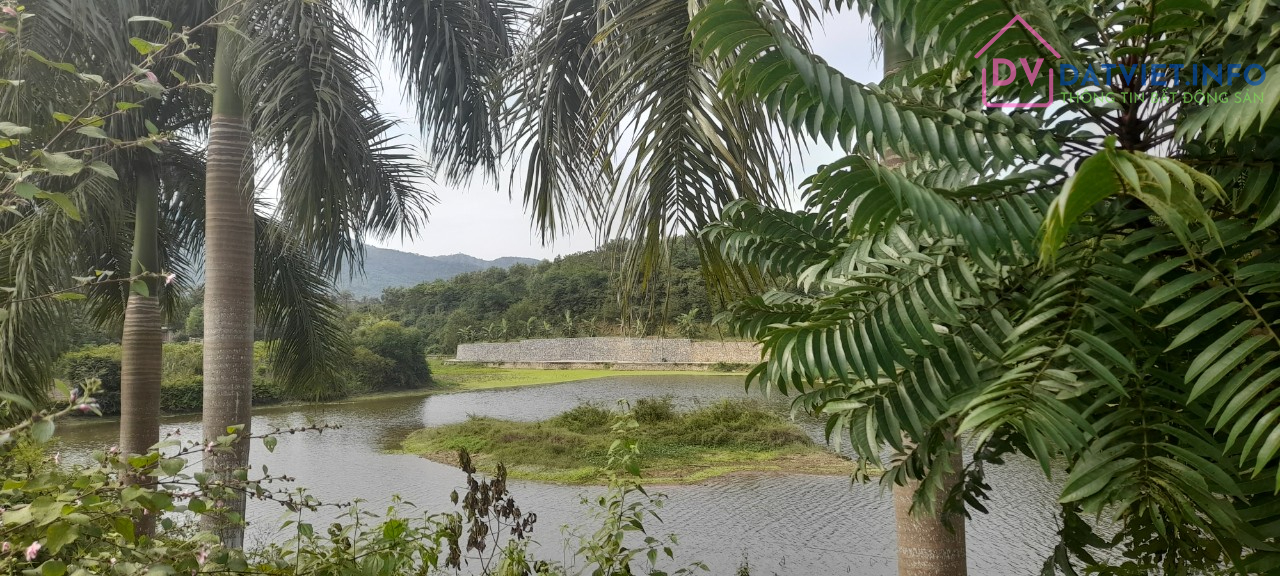 View Hồ, Đường Oto Tránh,Bám Mặt Đường Dài, Hà Nội 40Km, Giá Đầu Tư Phân Lô, Nghỉ Dưỡng 6