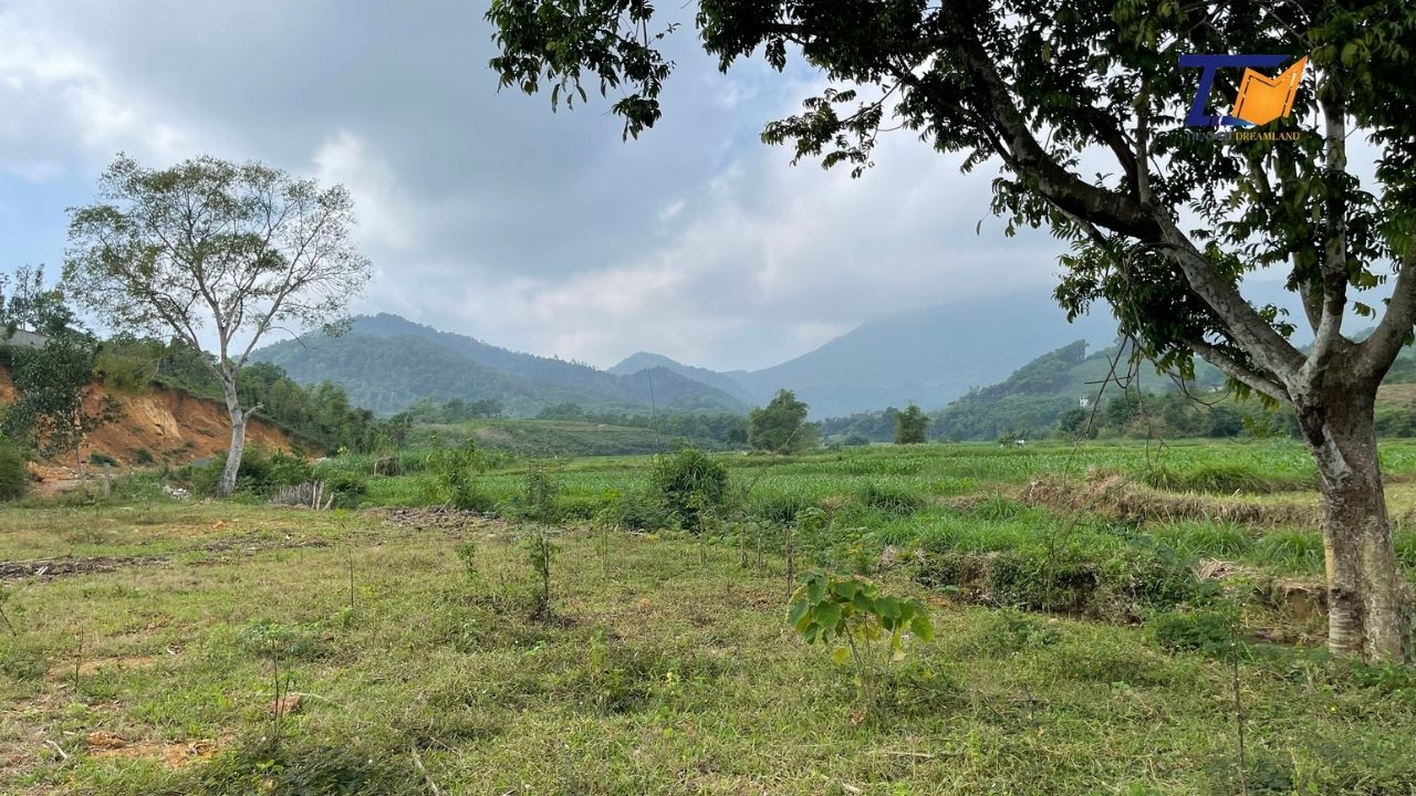 Cần bán Đất Xã Yên Bài, Ba Vì, Diện tích 2300m², Giá Thương lượng LH: A Tiến 0586.22.9999