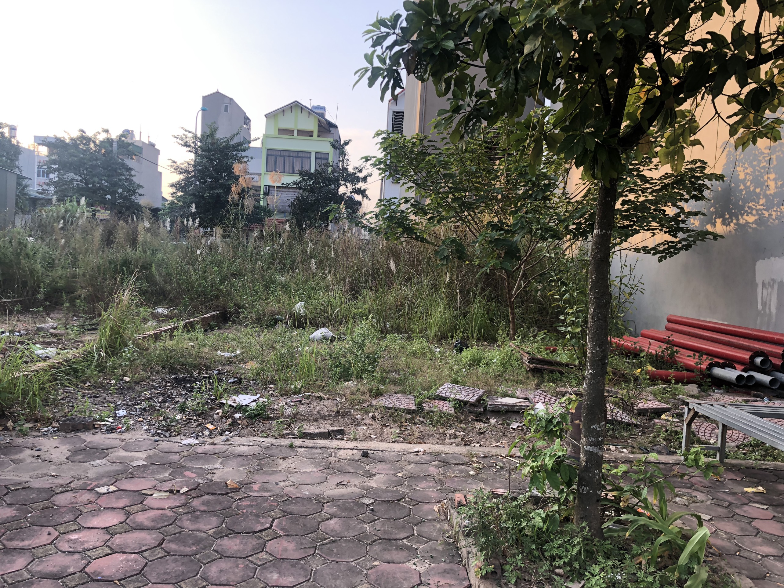 Cần bán Đất đường Nguyễn Mậu Tài, Thị trấn Trâu Quỳ, Diện tích 60m², Giá 85,000,000 Tỷ