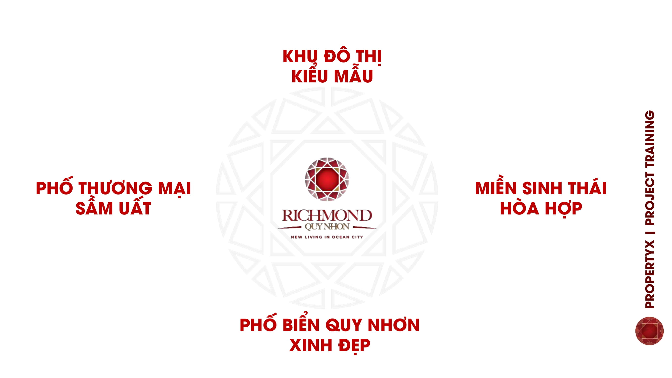 Nhà phố & biệt thự tại khu đô thị Richmond Quy Nhơn - LH 0383824867 2