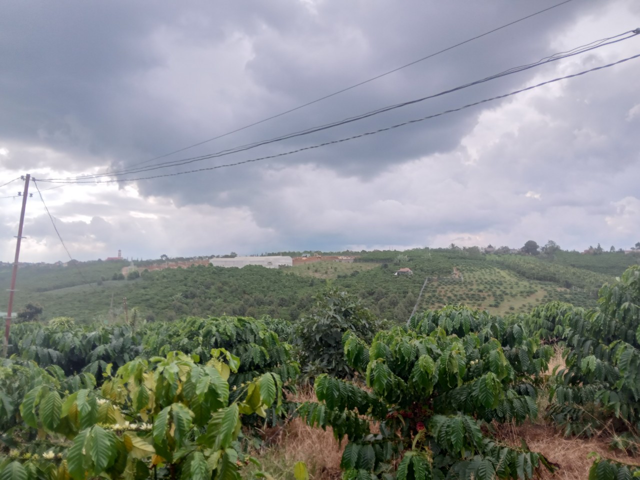 Cần bán Đất dự án Lâm Đồng Farmstay, Diện tích 8000m², Giá Thương lượng 5