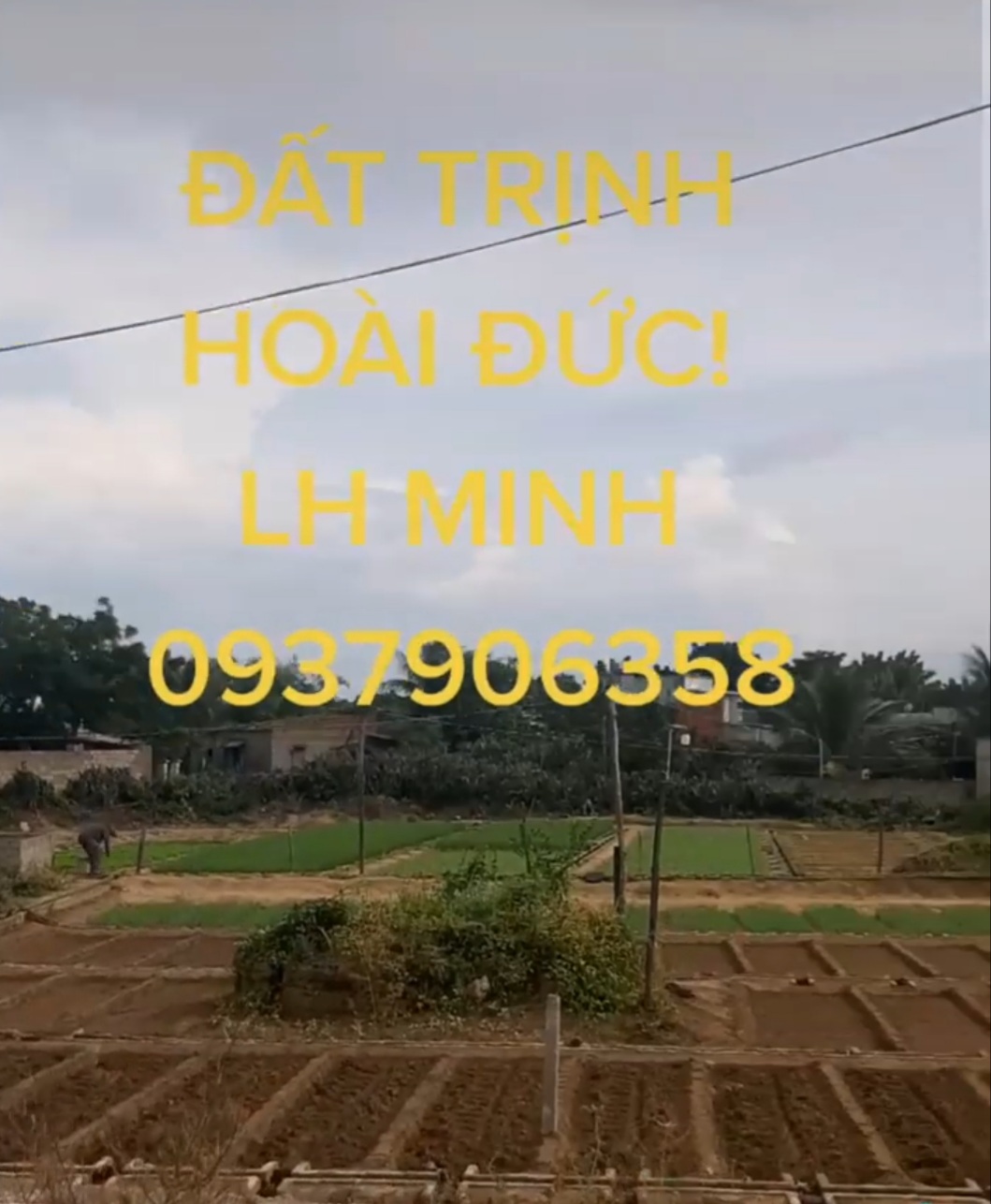 Cần bán Đất đường Trịnh Hoài Đức, Phường Mỹ Hải, Diện tích 150m², Giá 1780 Triệu - LH: 0937906358 2