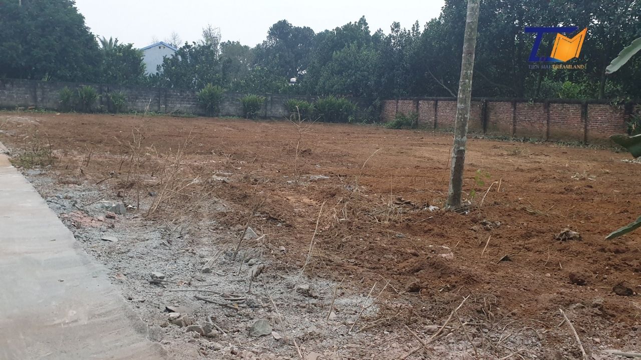 Cần bán Đất Phường Kim Sơn, Sơn Tây, Diện tích 685m², Giá Thương lượng - LH: 0586229999 2