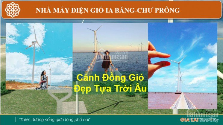 Ai biết đất ở đâu rẻ hơn ở Gia Lai New City - tôi cho 1 lô đất 5