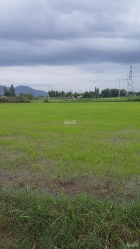 Bán đất mặt tiền đường Quốc lộ 1A (gần khu công nghiệp Du Long) 1