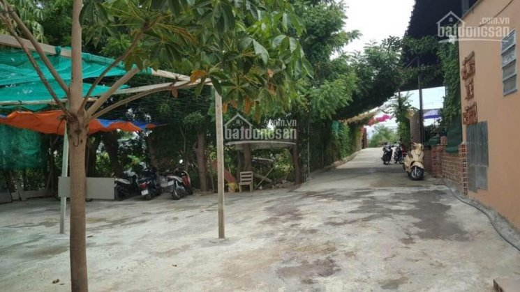Bán quán cà phê sân vườn gần Sông Dinh, 2136m2, Phan Rang - Tháp Chàm 7