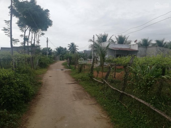Chính chủ bán đất sào, đầu tư cực rẻ tại thôn Phước Thiện, xã Phước Sơn 2