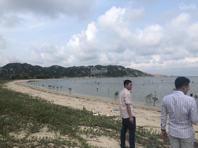 Chính chủ cần bán lô đất mặt Biển ĐT702 Vĩnh Hải Ninh Hải Ninh Thuận. Giá 4.2 tr/m2 LH 0904502399 2