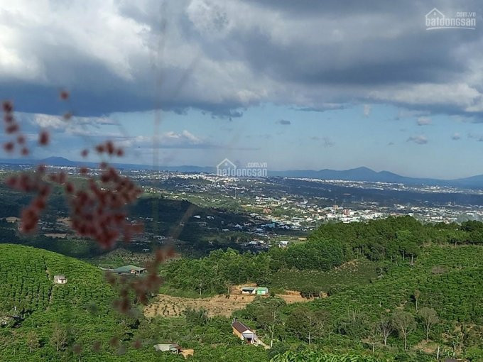 1,2 Ha Thôn 2 đại Lào, View đỉnh Núi đường 4m, Cách Trung Tâm 8km 1