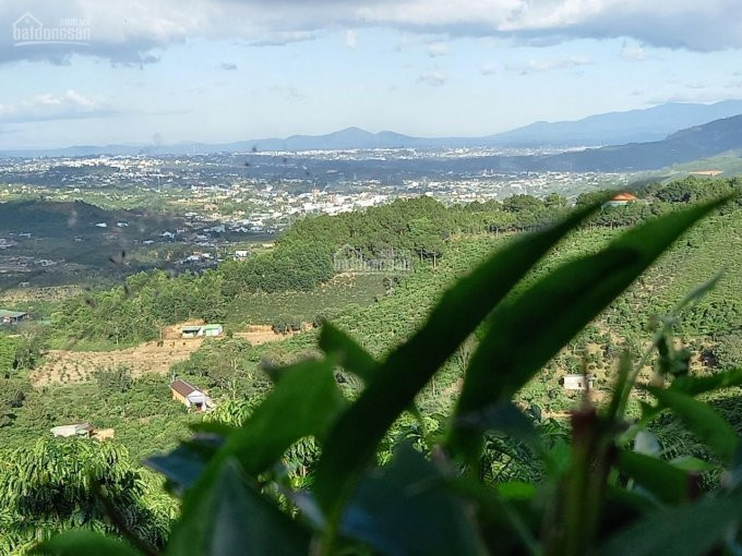 1,2 Ha Thôn 2 đại Lào, View đỉnh Núi đường 4m, Cách Trung Tâm 8km 3