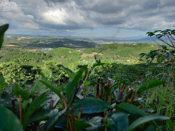 1,2 Ha Thôn 2 đại Lào, View đỉnh Núi đường 4m, Cách Trung Tâm 8km 4