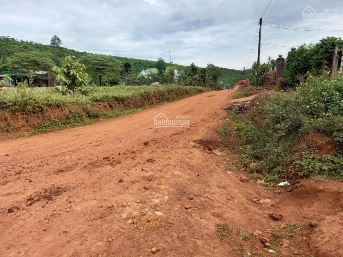 1,2 Ha Thôn 2 đại Lào, View đỉnh Núi đường 4m, Cách Trung Tâm 8km 8