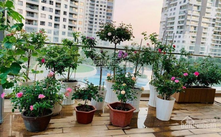 2pn Dt 91m2 + Sân Vườn 55m2, Nội Thất Cao Cấp, Bán 13,5 Tỷ Xem Nhà Liên Hệ Em Thi 0938798965 5