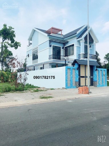 3 Lý Do Nền đầu Tư đất Thanh Lý Cuối Năm 2020 - Khu Tên Lửa Mở Rộng - Bình Tân 4