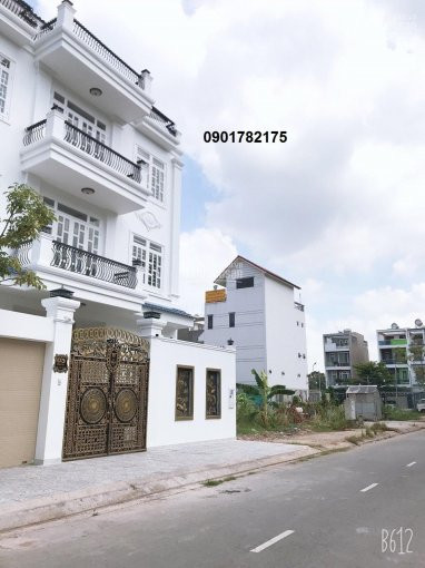 3 Lý Do Nền đầu Tư đất Thanh Lý Cuối Năm 2020 - Khu Tên Lửa Mở Rộng - Bình Tân 5